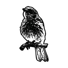 vector illustration of Hand draws bird line art. Adult book coloring pages line art.