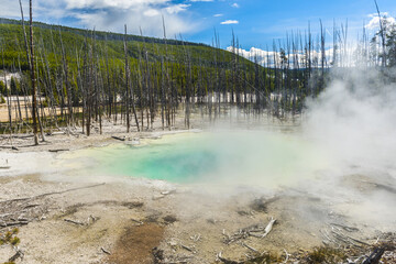 Geothermal pool in Yellowstone national park