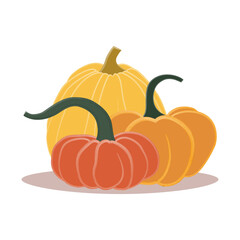 Pumpkin. Isolated pumpkins. Pumpkin flat vegetable  icon for autumn fall. Autumn design
agricultural harvest. Halloween designs
