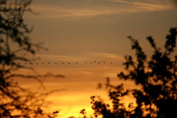 Orangeroter Sonnenuntergang auf dem Land