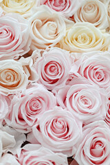 Pink and white roses in patterns as background.