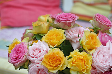 Roses in a variety of mixed colours.