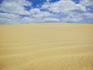 Fototapeta na wymiar Te Paki sand dunes in Northland, New Zealand. 