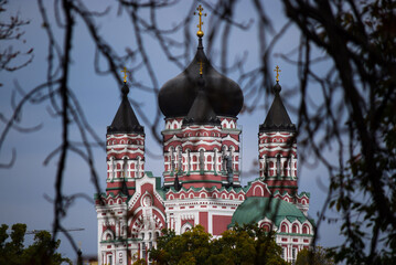 Fototapete bei efototapeten.de bestellen   
