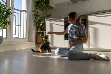 Good-natured Caucasian woman plays with kitten and has good time sits on kitchen floor near stove....