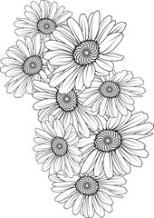 white chrysanthemum, daisy flower bouquet. 