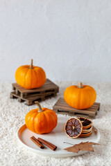 Autumn atmospheric vertical composition with mini pumpkins