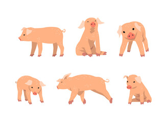 Obraz premium Pinky Pig as Domestic Animal with Long Snout and Hoofed Toes Vector Set