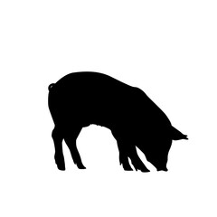 Pig Silhouette