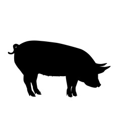 Pig Silhouette