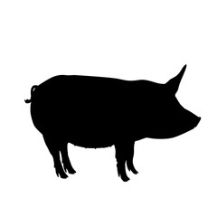 Pig Silhouette