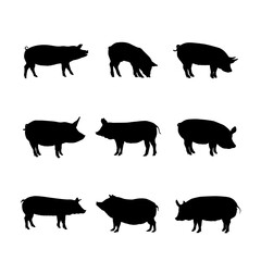 Pig Silhouette Collection