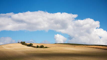 Obraz premium Aerial view of agricultural fields and sky with clouds