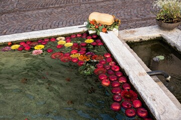  herbstliche Dekoration mit Äpfeln und Blumen in einem Brunnen in Neumarkt in Südtirol