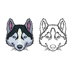 Vector hand drawn portrait of the head of the dog of the breed Husky isolated on a white background.