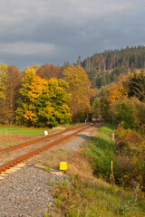 The railroad passes through the forest in autumn. The rusty rail crosses the forest with autumn colors. In the distance, a coniferous forest covers a small mountain. The perspective is diagonal.
