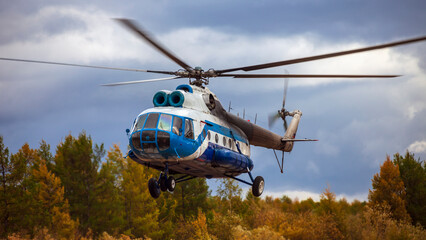 Transport passenger helicopter lands in the autumn Siberian taiga.
