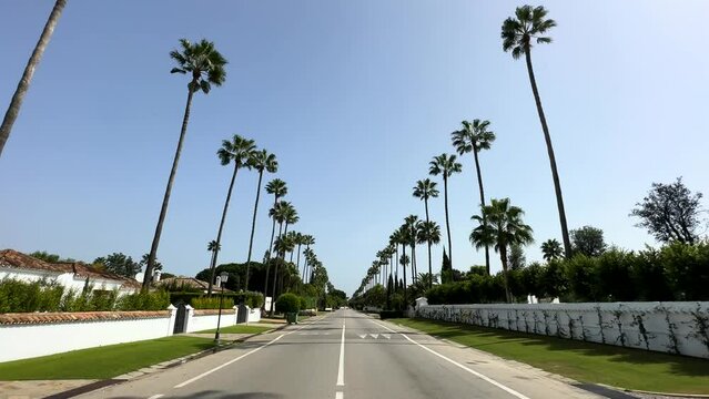 Palm trees lining road in San Roque in Spain. Luxury wealthy community