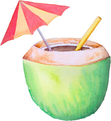 coconut in the holiday summer watercolor hand painted.