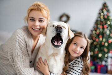 Labrador yawning near blurred mother and girl at home