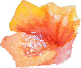 hibiscus flower in the holiday summer watercolor hand painted