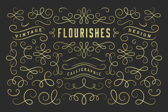 Calligraphic design elements vintage ornaments swirls and scrolls ornate decorations vector design elements