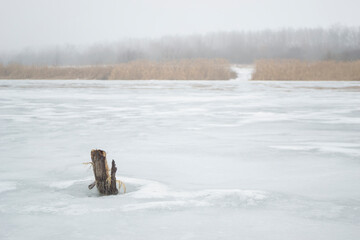 a thin small stump sticking out of a frozen river