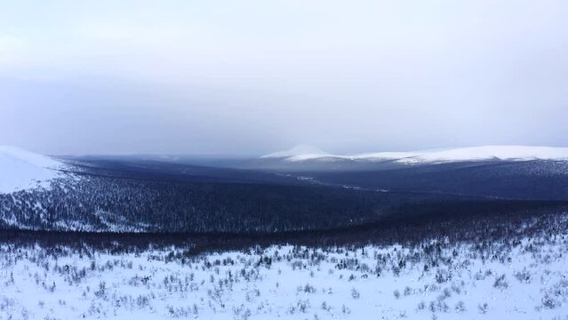 Flight on a copter over a wild snowy slope of the tundra with bushes and trees and hills in the snow on the horizon