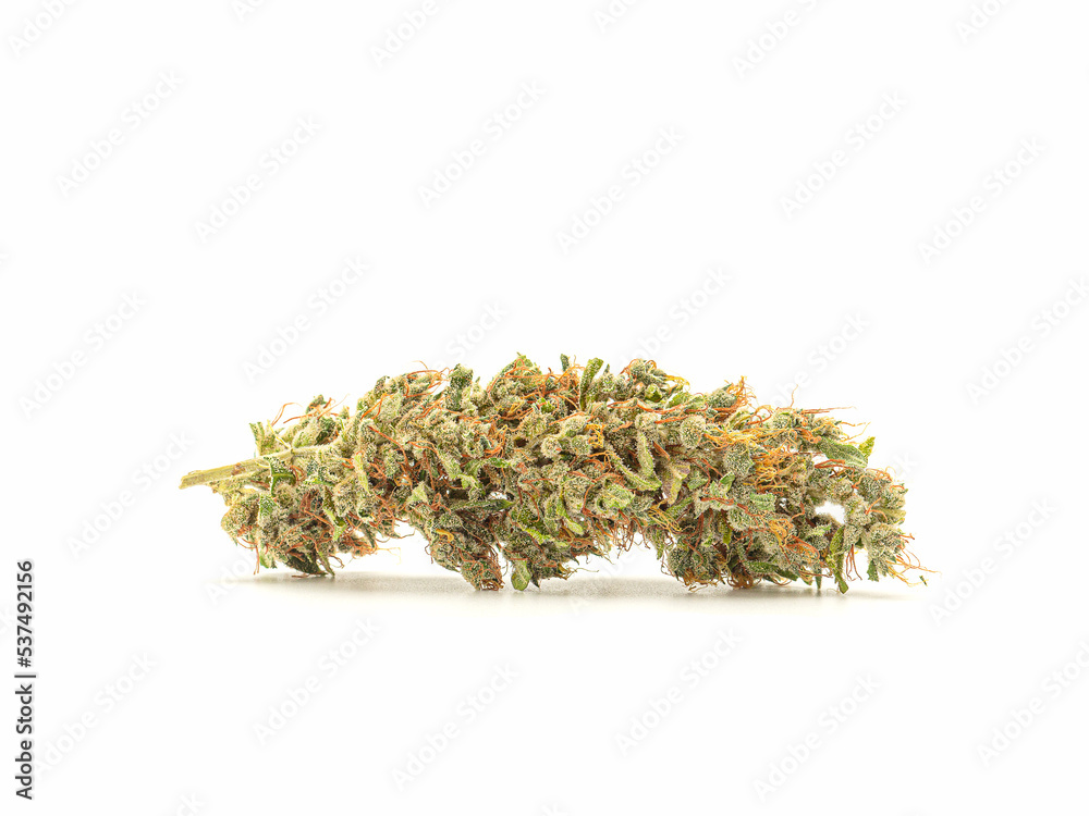 Wall mural dry cannabis buds flowers on a white background