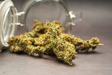 Dry cannabis buds outside of a jar on a gray background