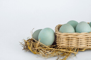 Obraz premium Duck eggs are in the hay nest and in the wicker basket on white background