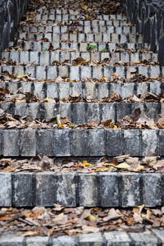 stairs on the forest 
