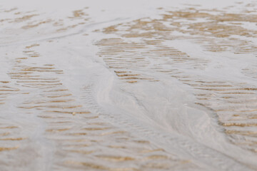 Beach sand texture. Beach during low tide. Beach background - 537493773