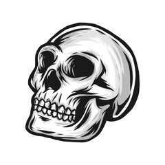 hand drawn skull vector 