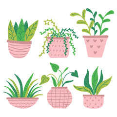 Plant in pot vector illustration set. Cartoon flat different indoor potted decorative houseplants for interior home or office. Hand drawn icons isolated on white