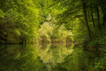 Quiete e silenzio in natura