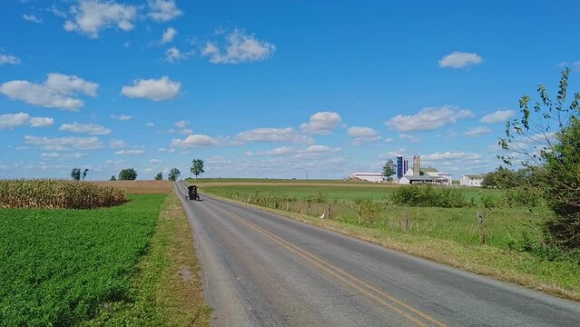 An Amish Horse and Buggy Approaching Down a Country Road Passing Farms on a Sunny Day