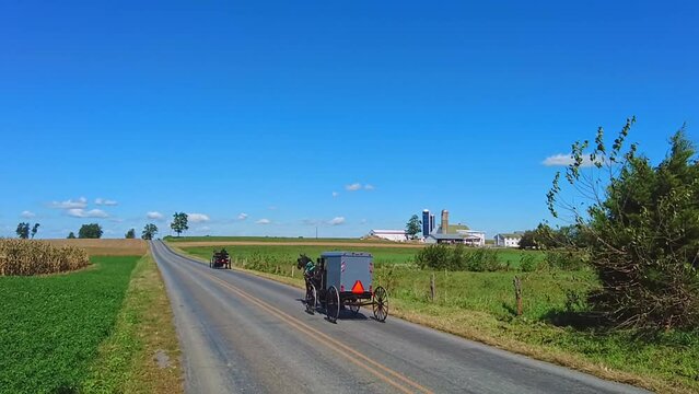 Two Amish Horse and Buggy Trotting Away Down a Country Road on a Sunny Day in Slow Motion