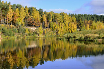Fototapeta na wymiar the reflection of yellow-green trees on the steep banks of the river on a sunny day in autumn