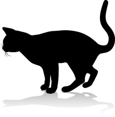 Silhouette Cat Pet Animal