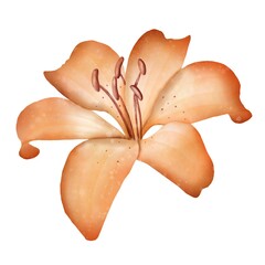 Isolated watercolor flower on a white background. Bright stickers. Colorful color illustration.