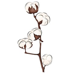 Isolated watercolor cotton branch on a white background. Separate element for bouquets, wreaths, wedding invitations, anniversaries, birthdays, cards and congratulations.