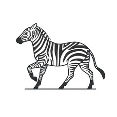 Fototapeta na wymiar Cute zebra. Detailed drawing of animal. Contour vector illustration.