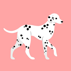 Cute happy dalmatian. Modern dog illustration. Flat vector print for clothing, packaging and postcards. 