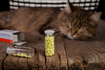 Fototapeta na wymiar Cat and pills. Cat and valerian. The cat is lying on a wooden table.