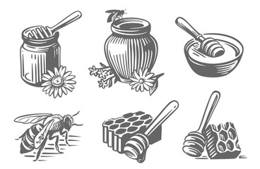 Honeycomb. Honey with bee. Jar with flower sketch. © bioraven