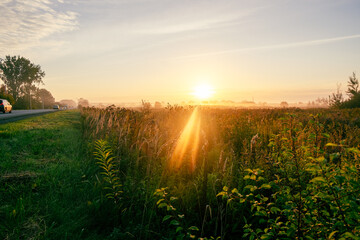 Picturesque sunrise over a green field near the road