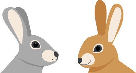 rabbits portrait, on white background, isolated vector