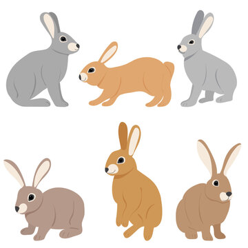 rabbits collection, on white background, isolated vector