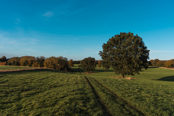 Gentle rolling hills landscape